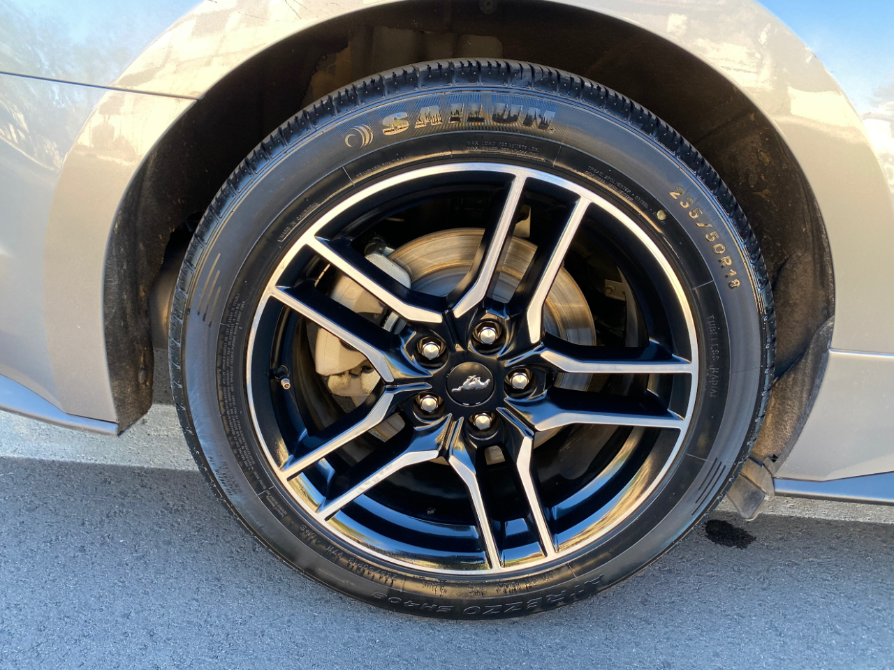 Ford Mustang EcoBoost Convertible 2023