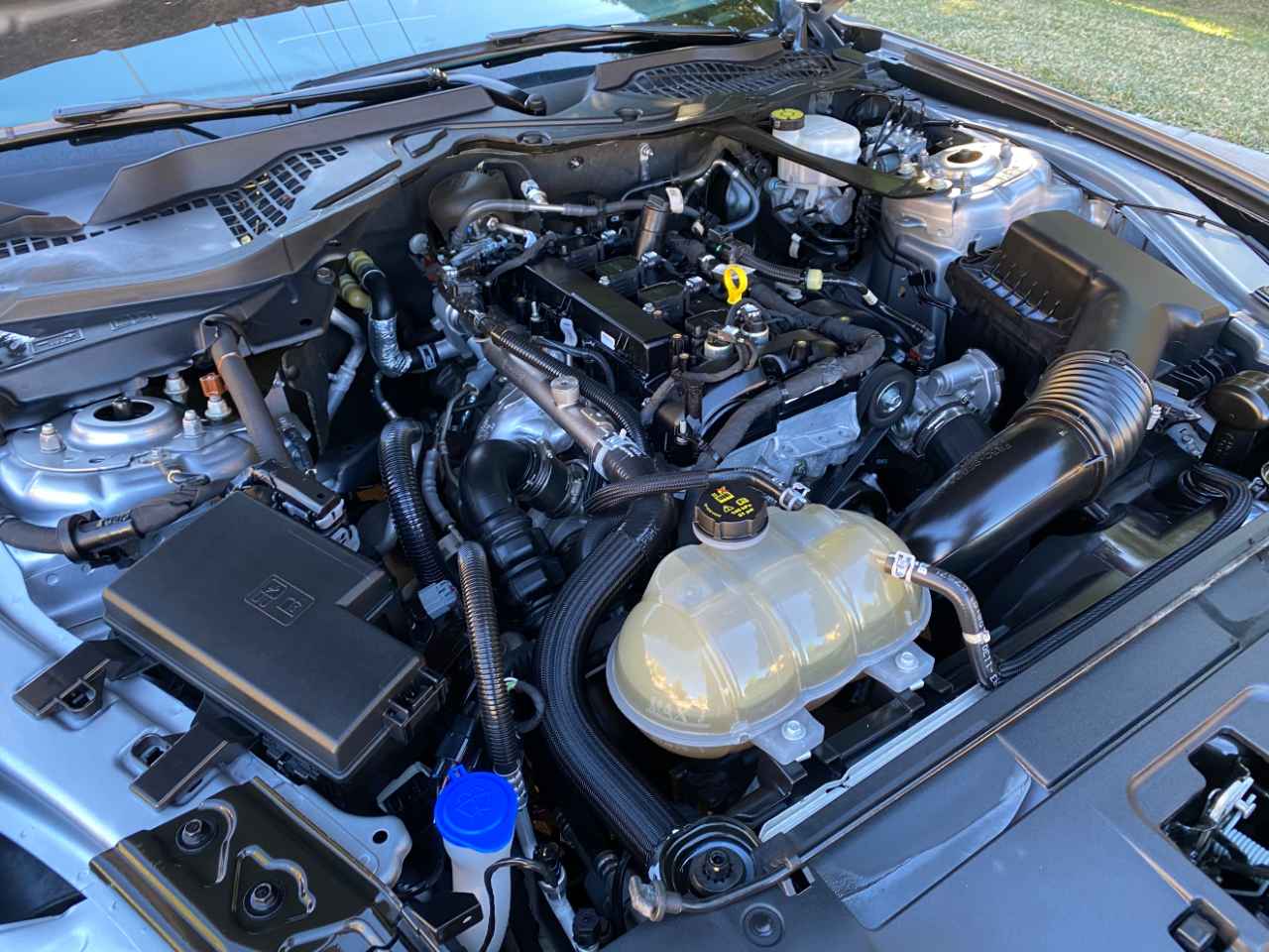 Ford Mustang EcoBoost Convertible 2023