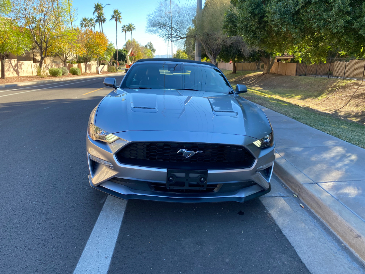 Ford Mustang EcoBoost Convertible 2023