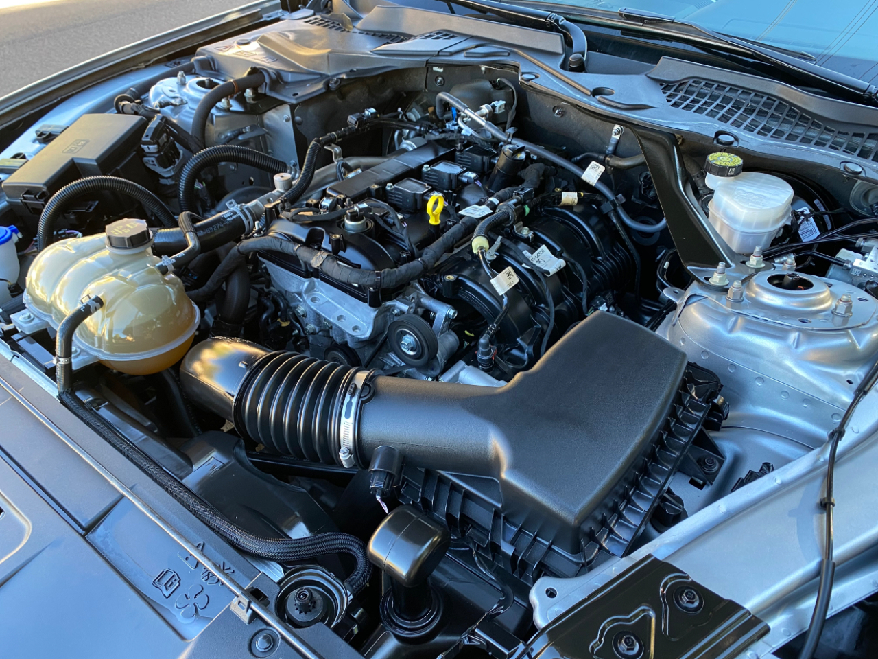 Ford Mustang EcoBoost Convertible 2023