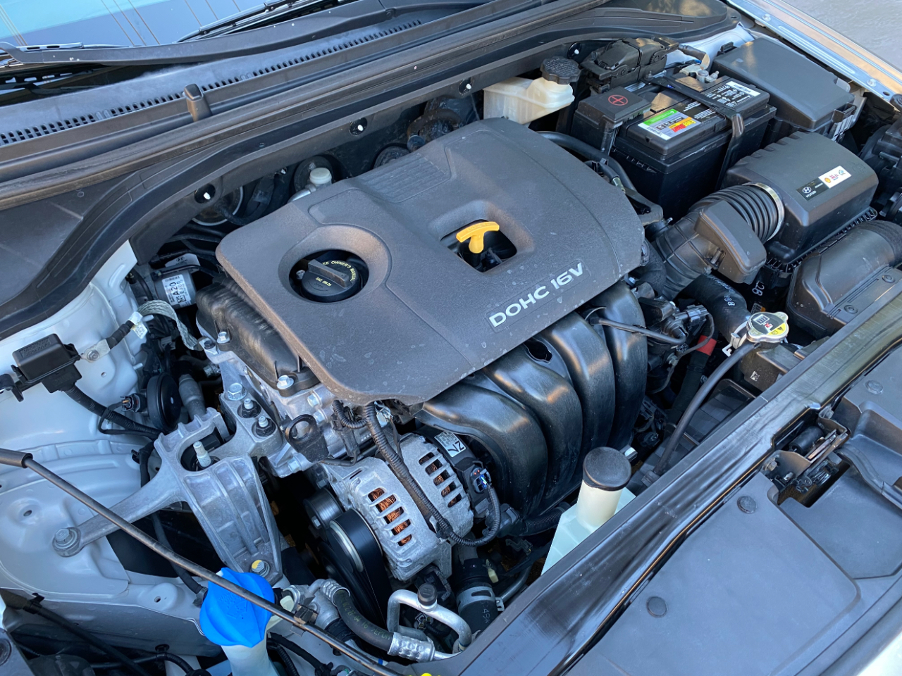 Hyundai Elantra SE 2.0L Auto (Ulsan) *Ltd Avail* 2017