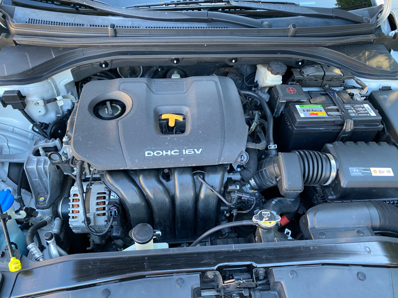 Hyundai Elantra SE 2.0L Auto (Ulsan) *Ltd Avail* 2017