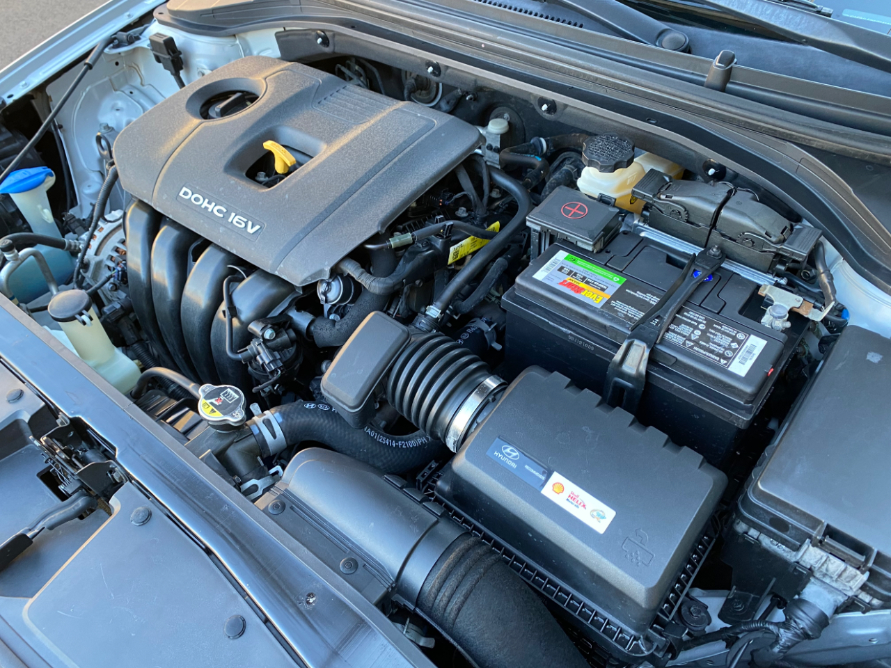 Hyundai Elantra SE 2.0L Auto (Ulsan) *Ltd Avail* 2017