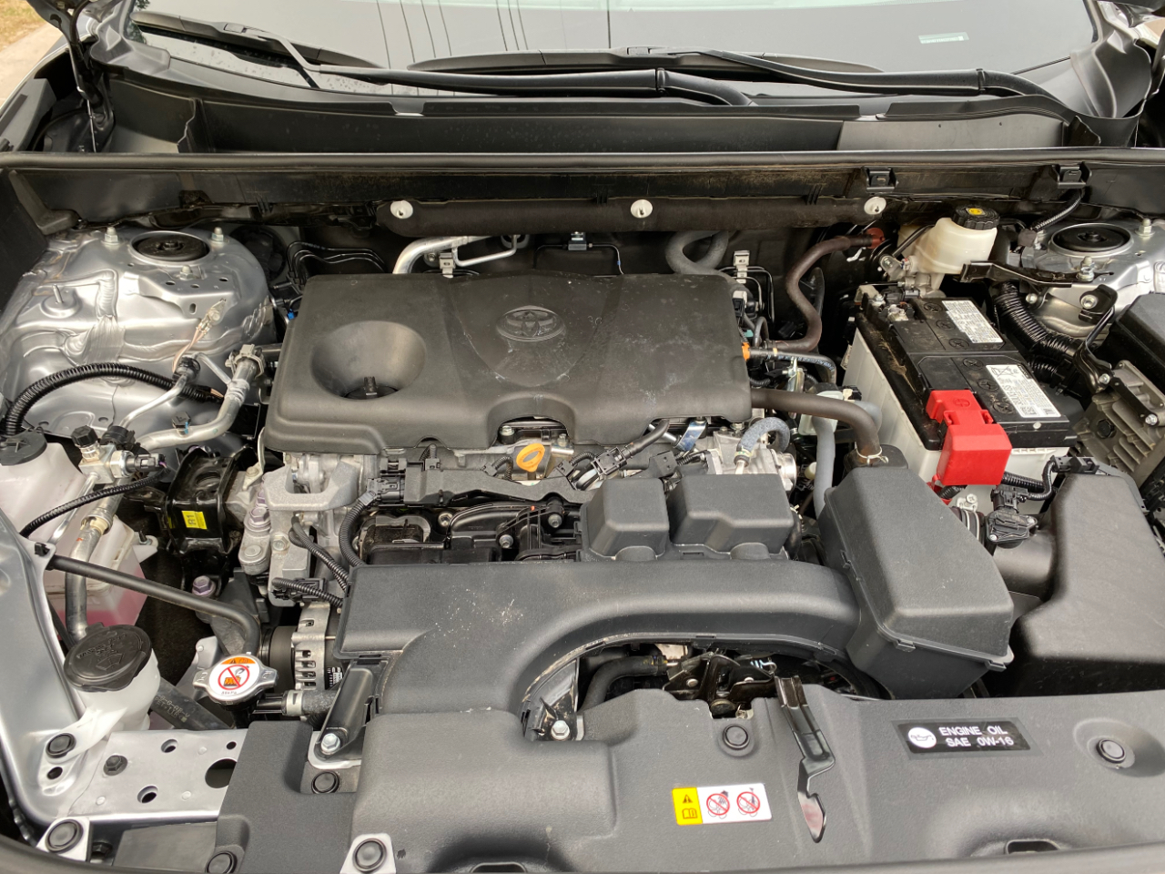 Toyota RAV4 XLE FWD (Natl) 2024