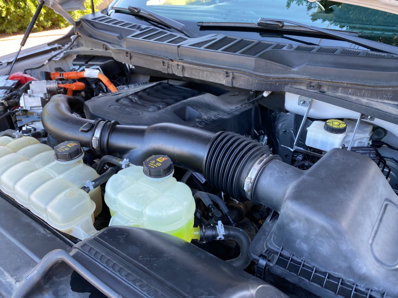 Ford F-150 XLT 4WD SuperCrew 5.5' Box 2021