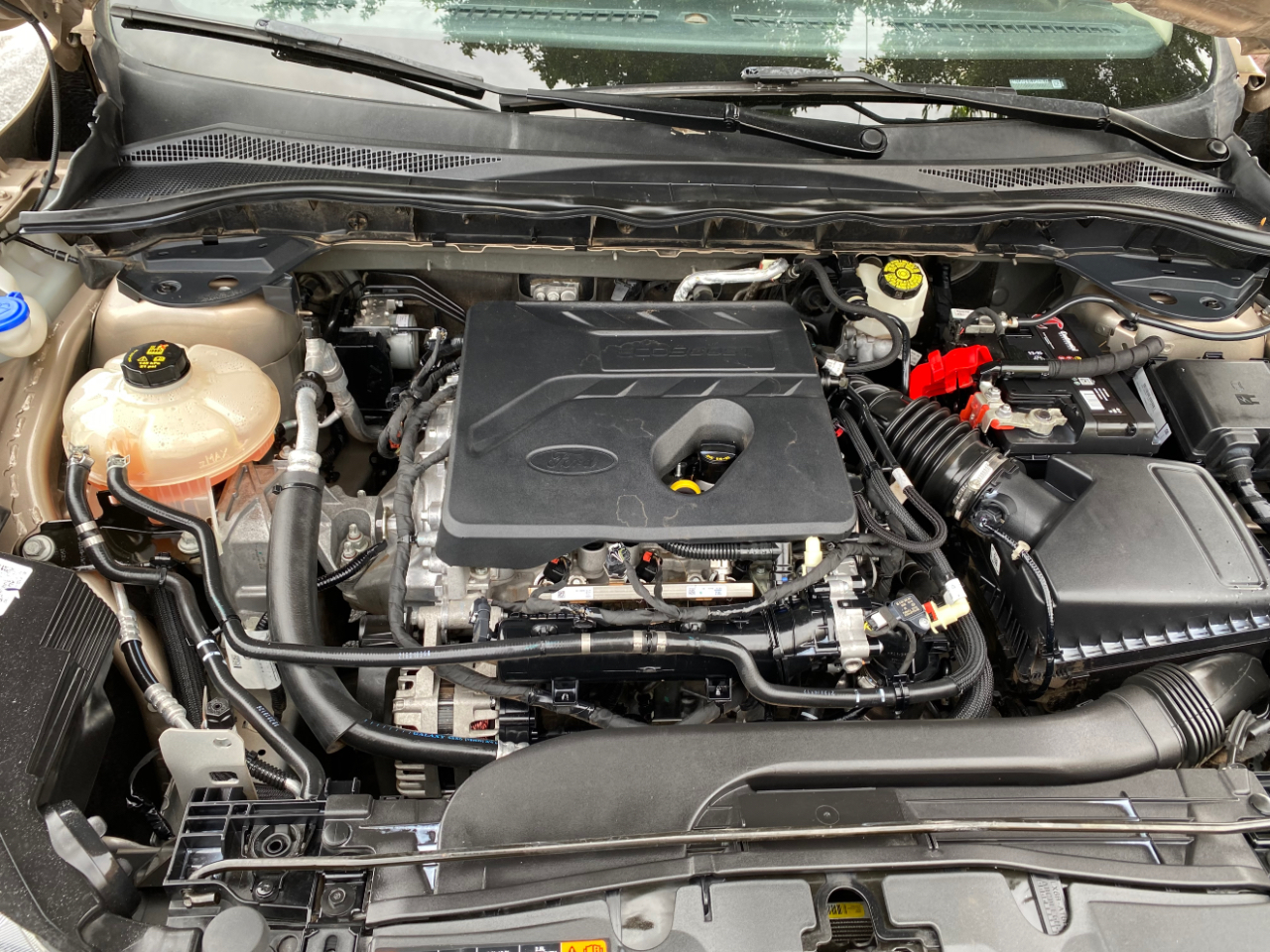 Ford Escape S FWD 2020