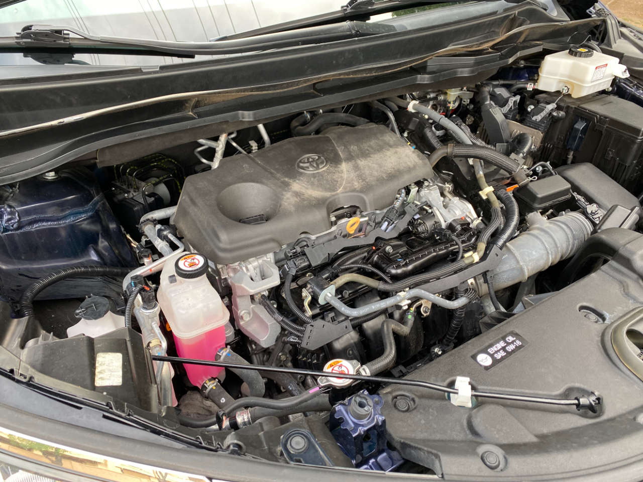 Toyota Sienna LE FWD 8-Passenger (Natl) 2021