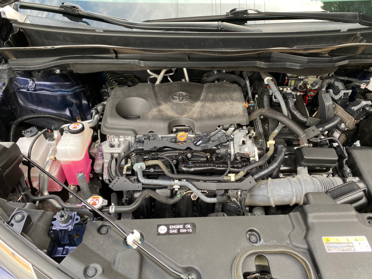 Toyota Sienna LE FWD 8-Passenger (Natl) 2021