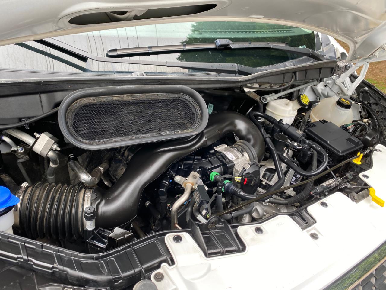 Ford Transit Passenger Wagon T-350 148" Low Roof XLT RWD 2022