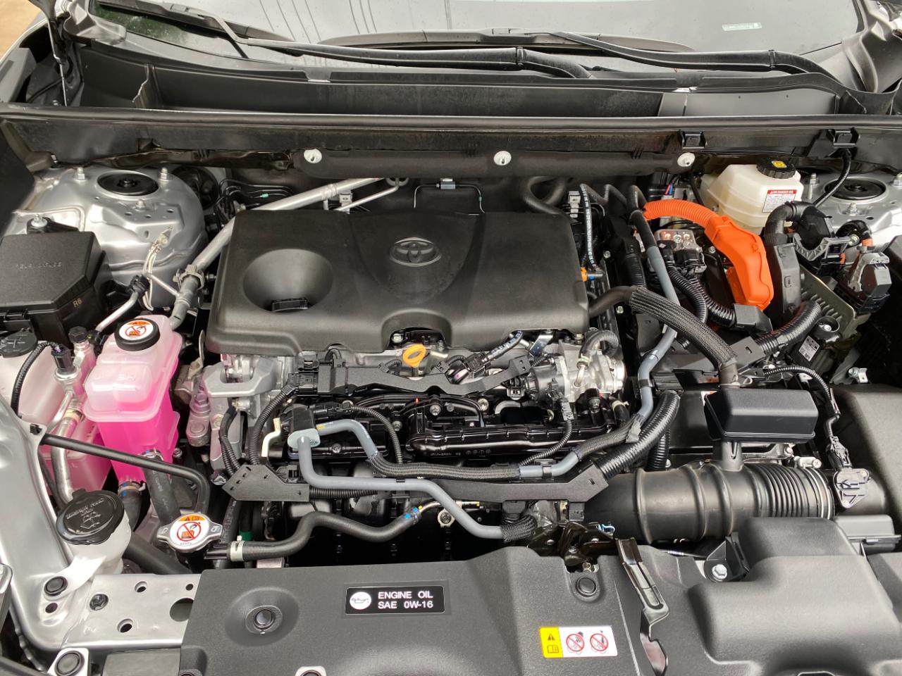 Toyota RAV4 Hybrid LE AWD (Natl) 2025