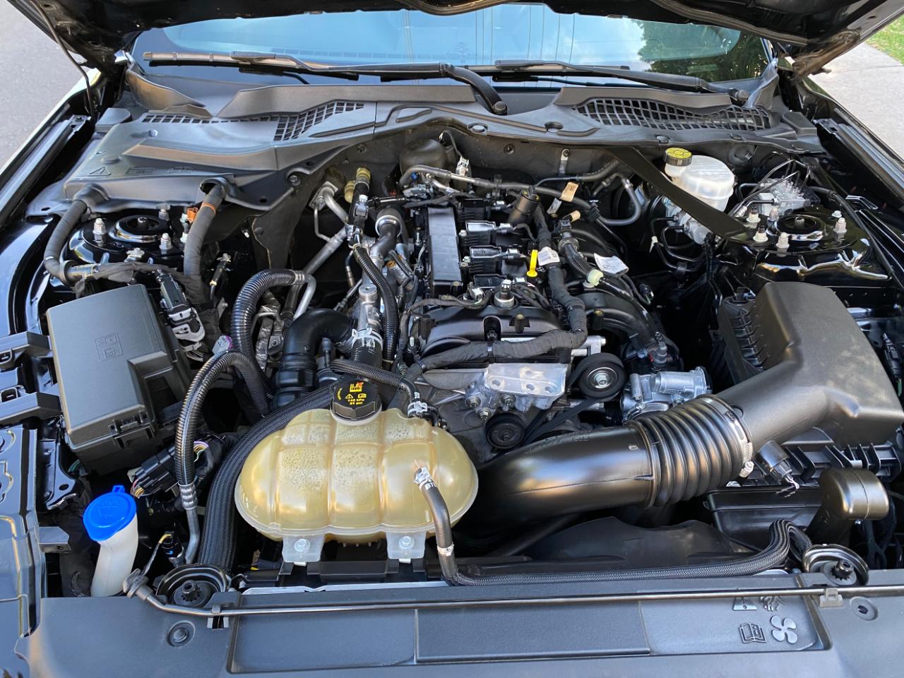 Ford Mustang EcoBoost Convertible 2021