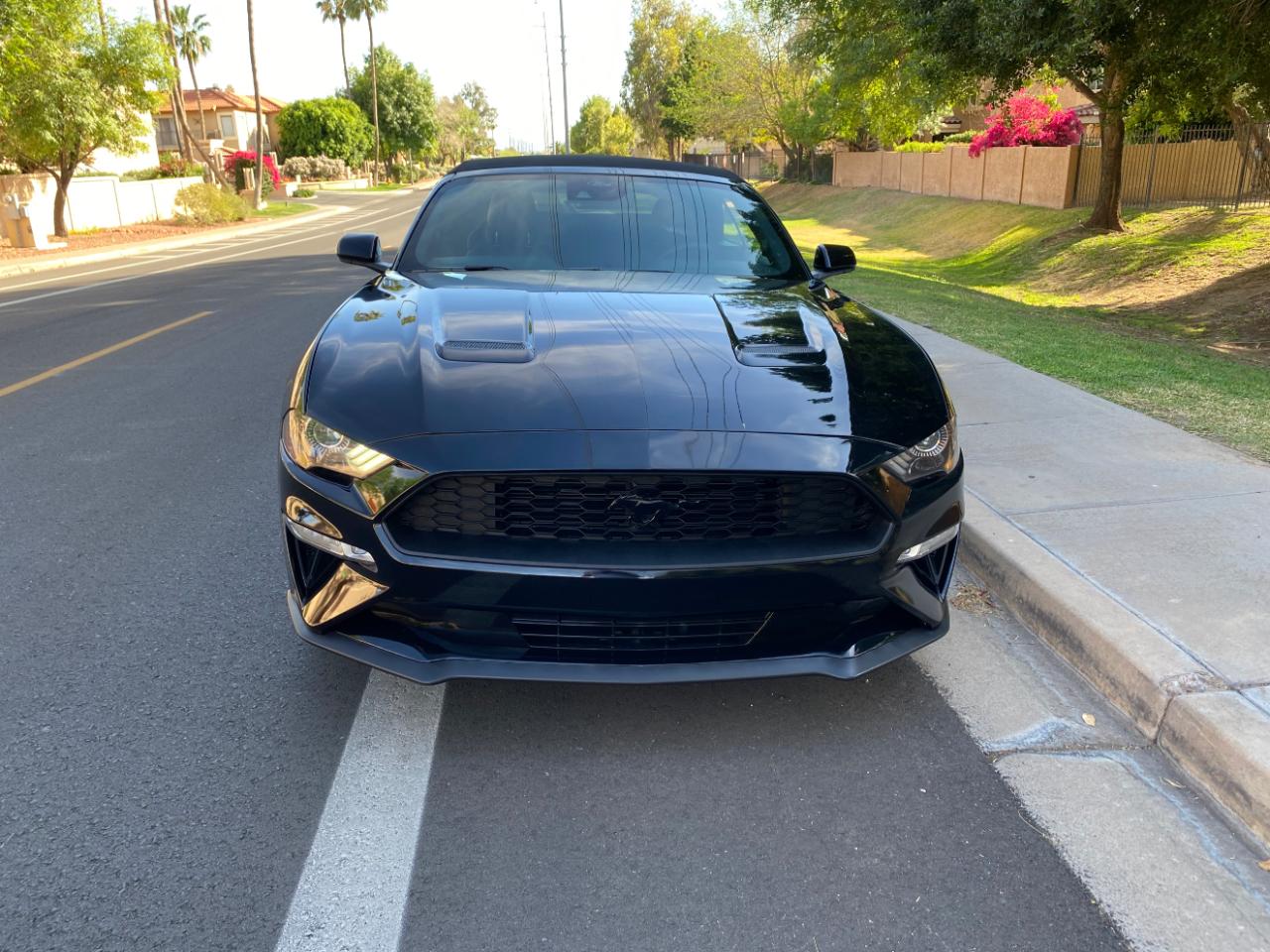 Ford Mustang EcoBoost Convertible 2021