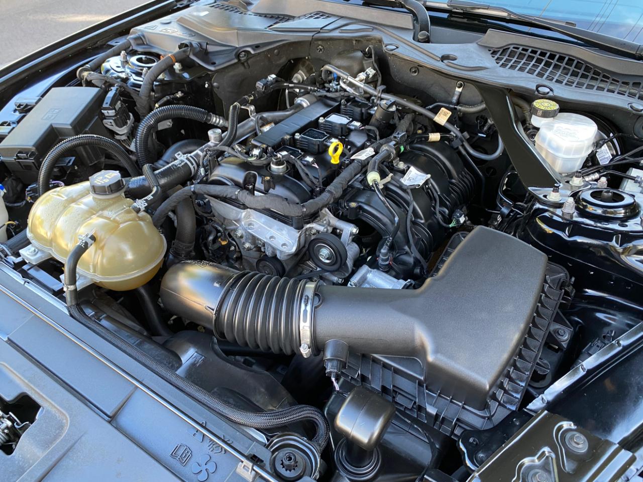 Ford Mustang EcoBoost Convertible 2021