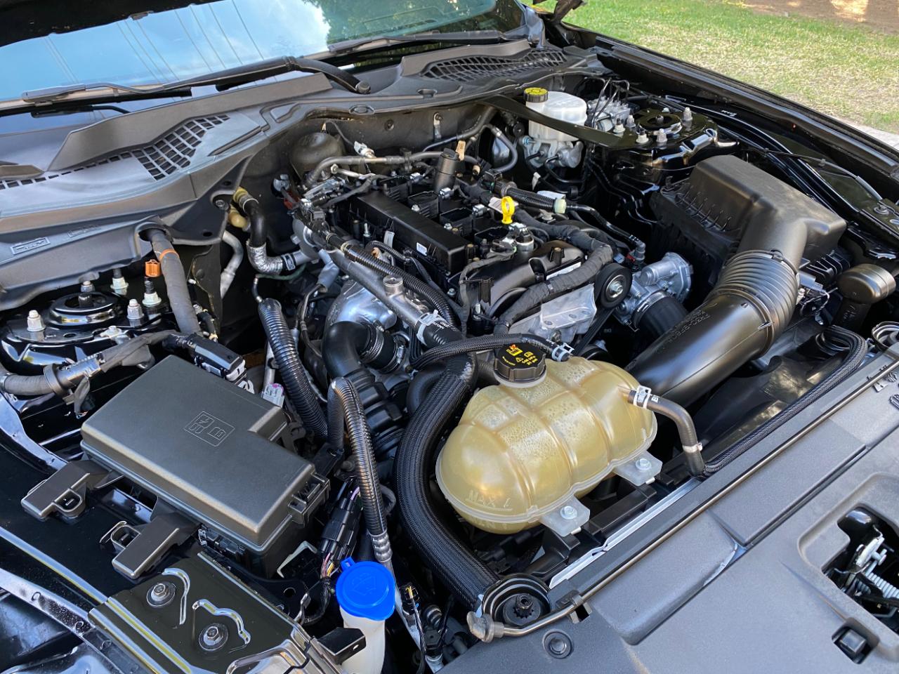 Ford Mustang EcoBoost Convertible 2021