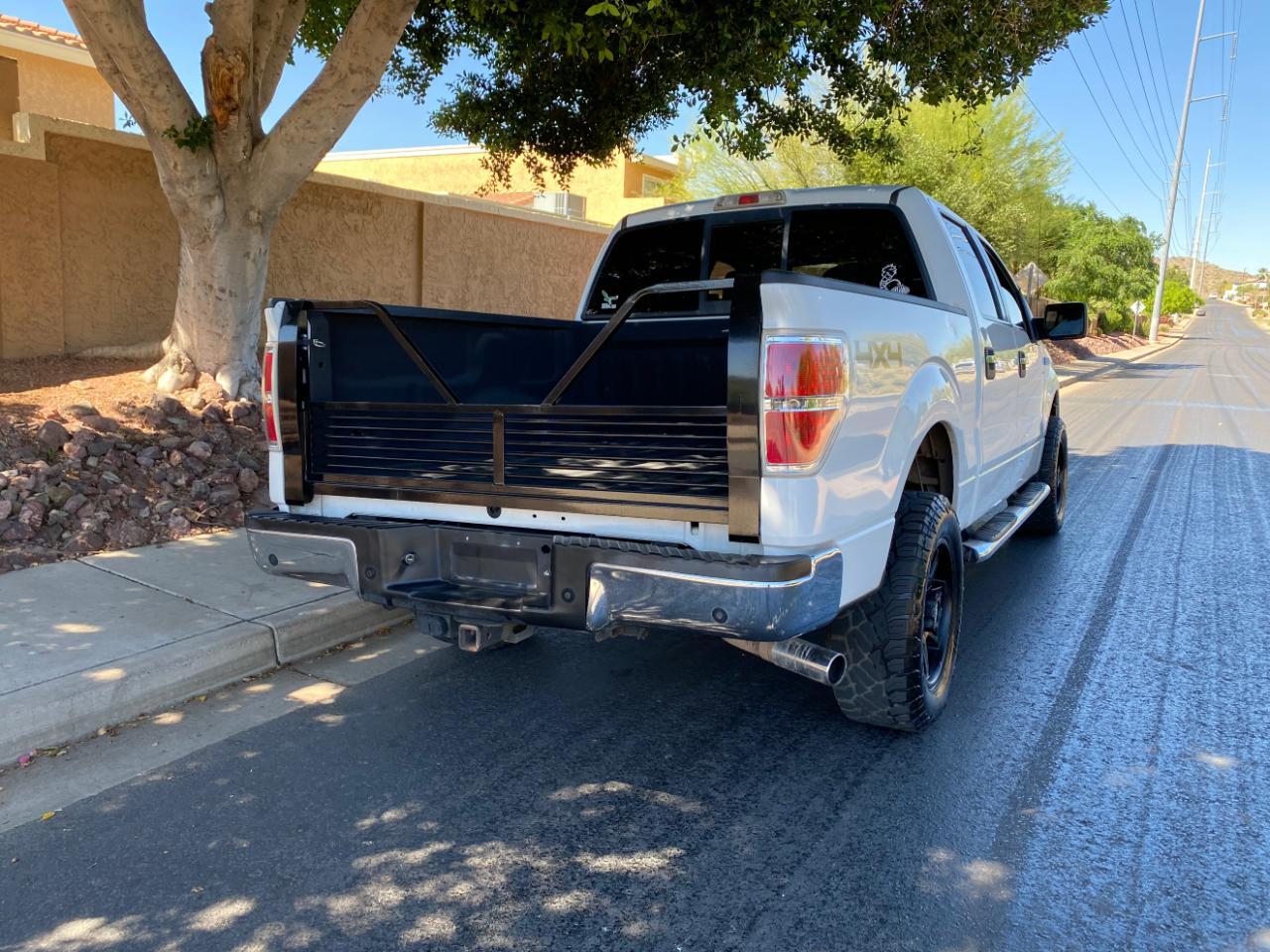 Ford F-150 4WD SuperCrew 145" Platinum 2013