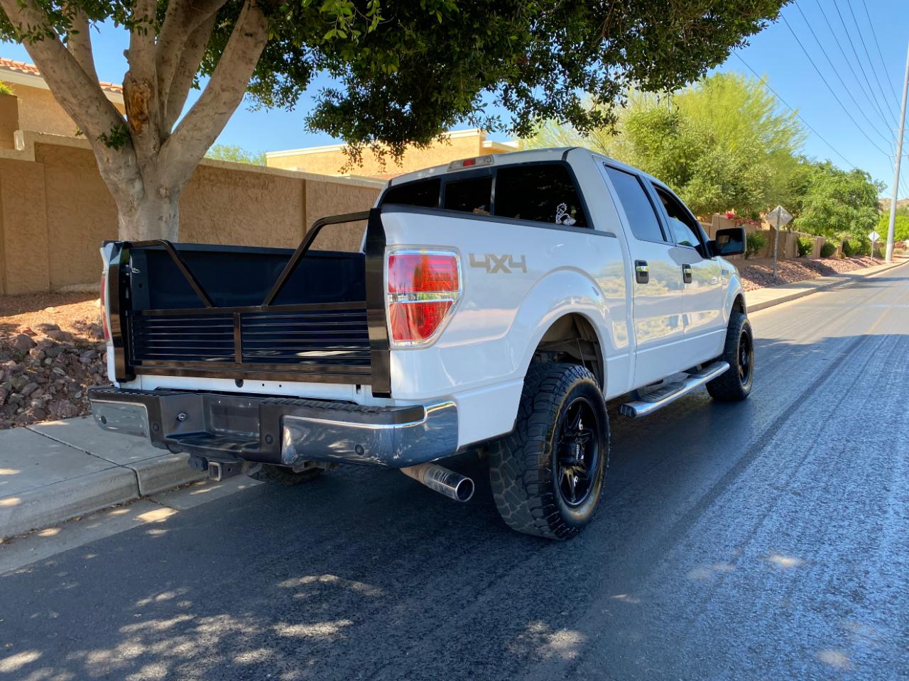 Ford F-150 4WD SuperCrew 145" Platinum 2013