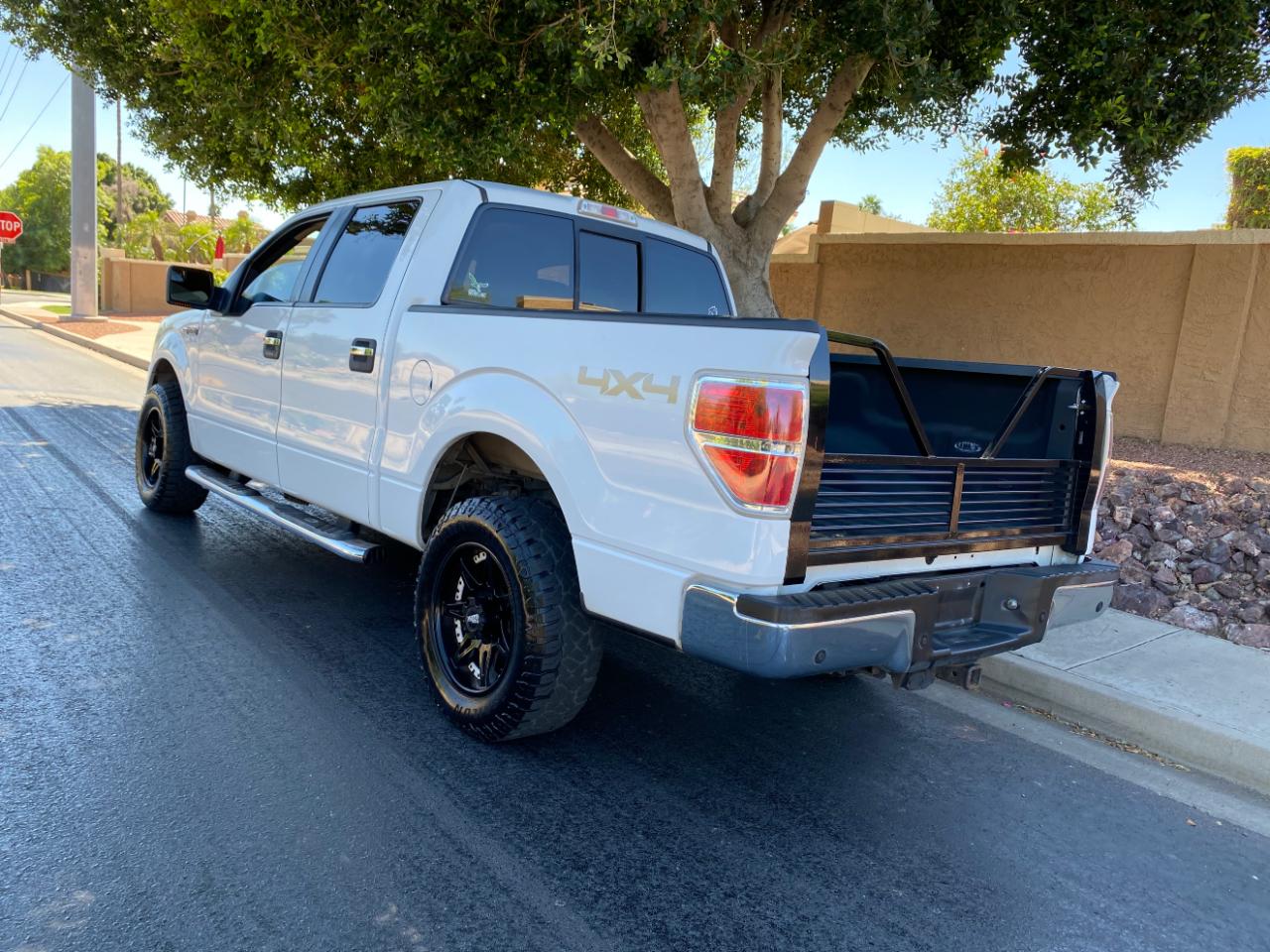 Ford F-150 4WD SuperCrew 145" Platinum 2013