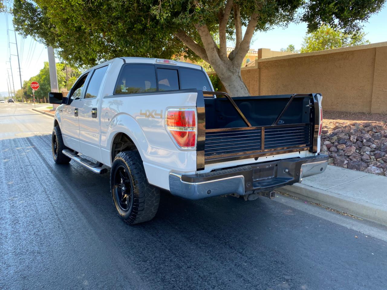 Ford F-150 4WD SuperCrew 145" Platinum 2013