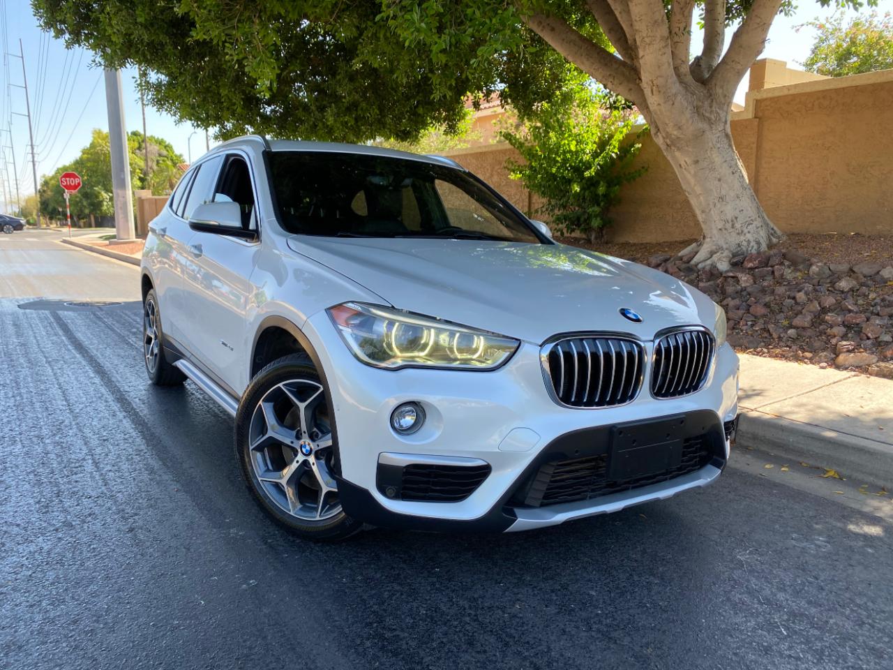 BMW X1 sDrive28i Sports Activity Vehicle 2017