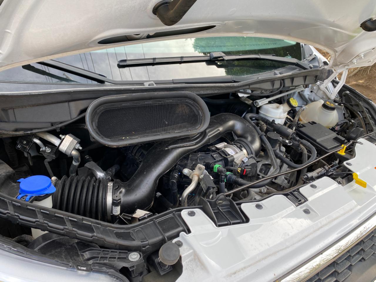 Ford Transit Passenger Wagon T-350 148" Low Roof XLT RWD 2022