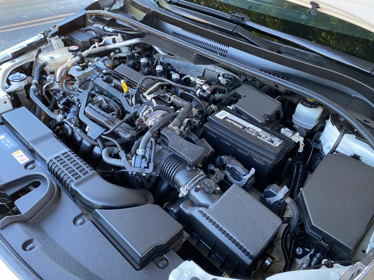 Toyota Corolla Hatchback SE CVT (Natl) 2019
