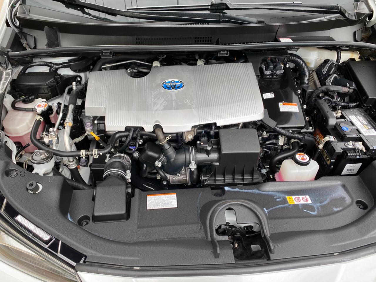 Toyota Prius LE (Natl) 2022