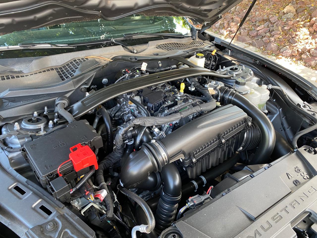 Ford Mustang EcoBoost Convertible 2025