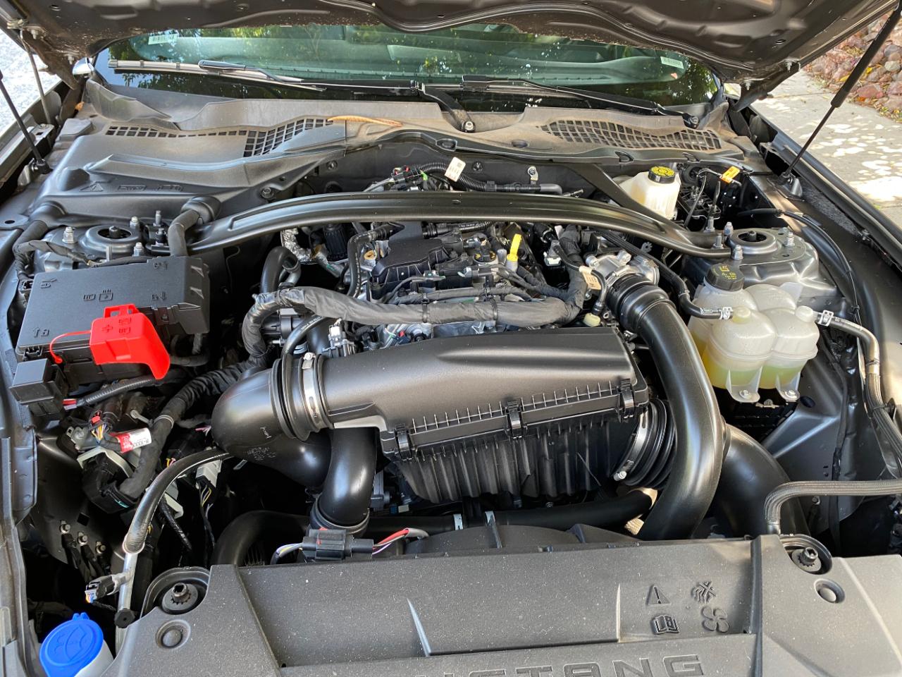 Ford Mustang EcoBoost Convertible 2025