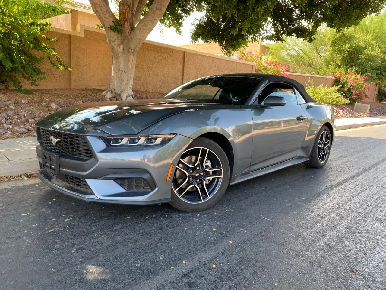 Ford Mustang EcoBoost Convertible 2025