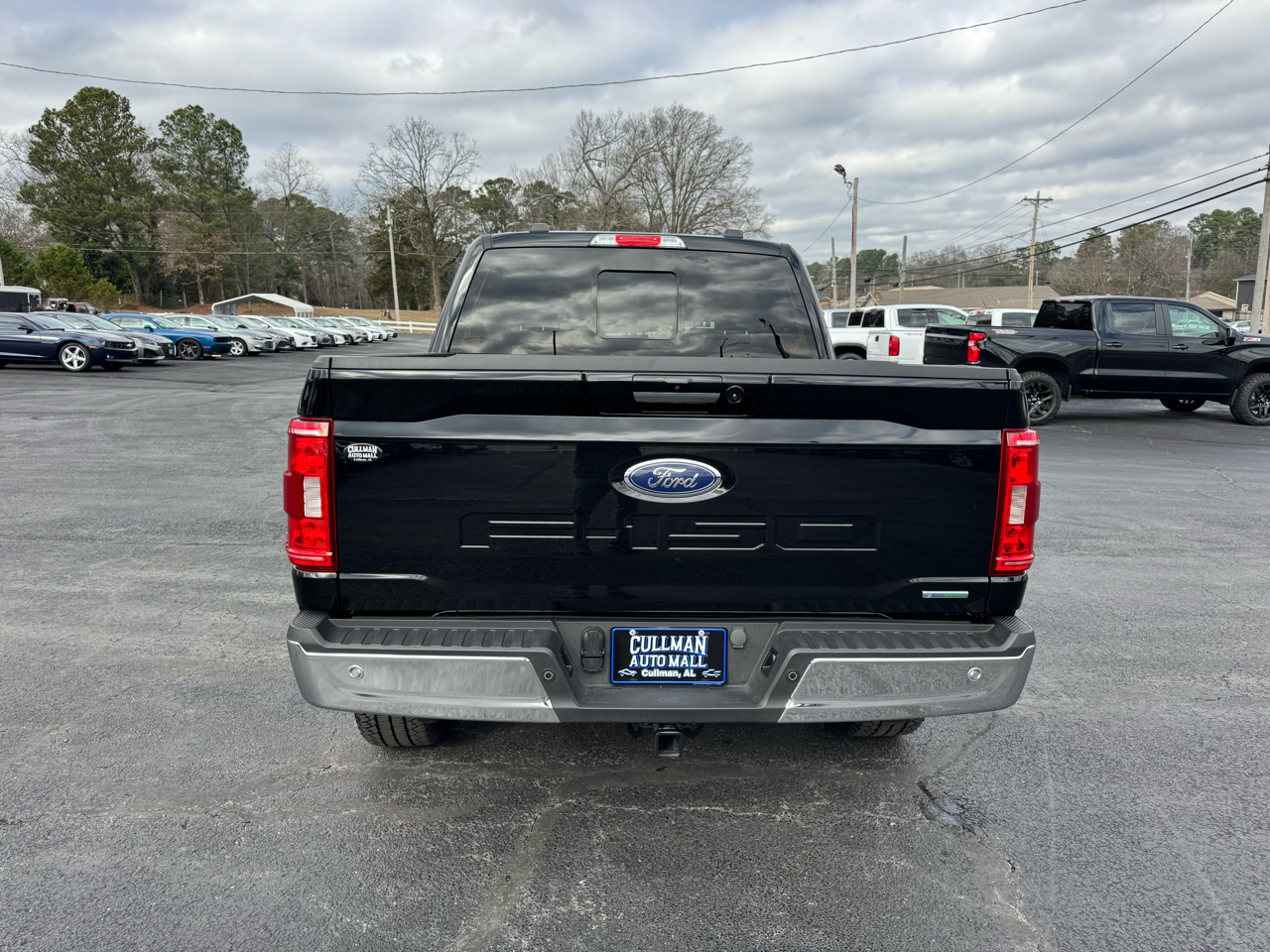 Ford F-150 4WD SuperCrew 145" XLT 2023