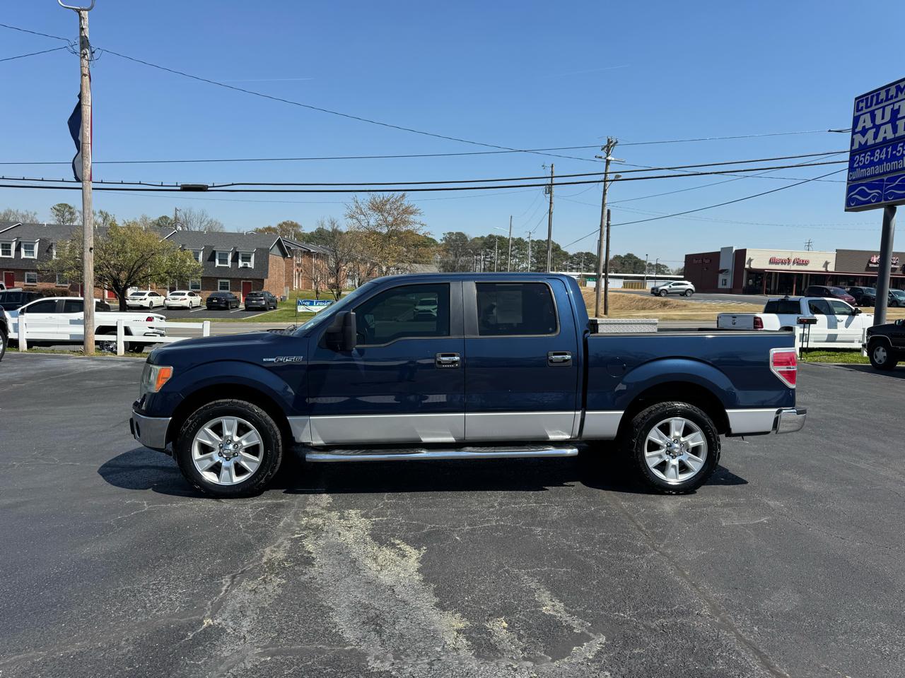 Ford F-150 2WD SuperCrew 145" Platinum 2013