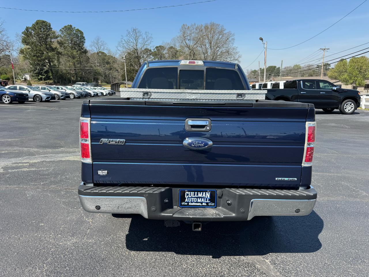 Ford F-150 2WD SuperCrew 145" Platinum 2013