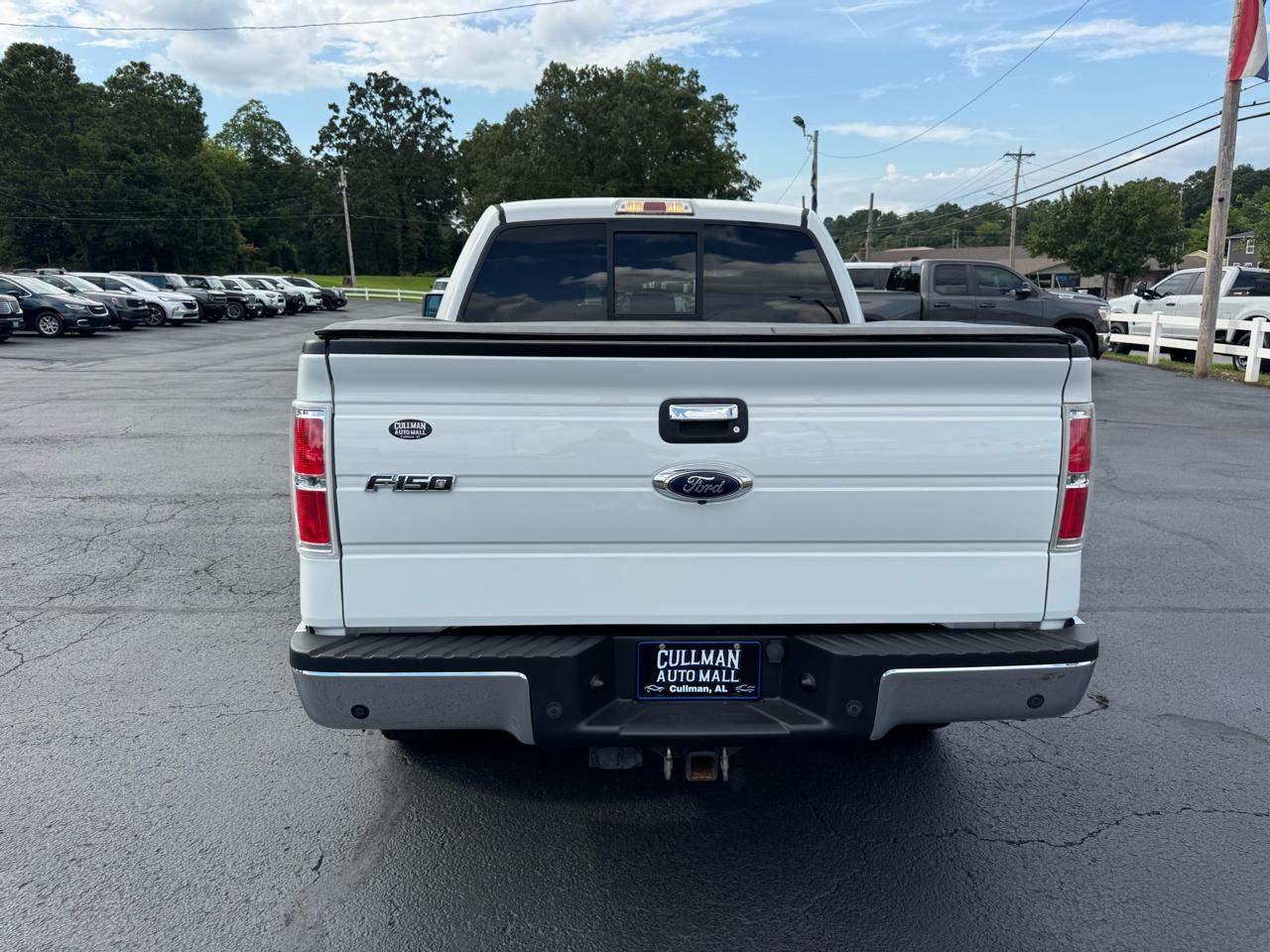 Ford F-150 4WD SuperCrew 145" XLT 2014