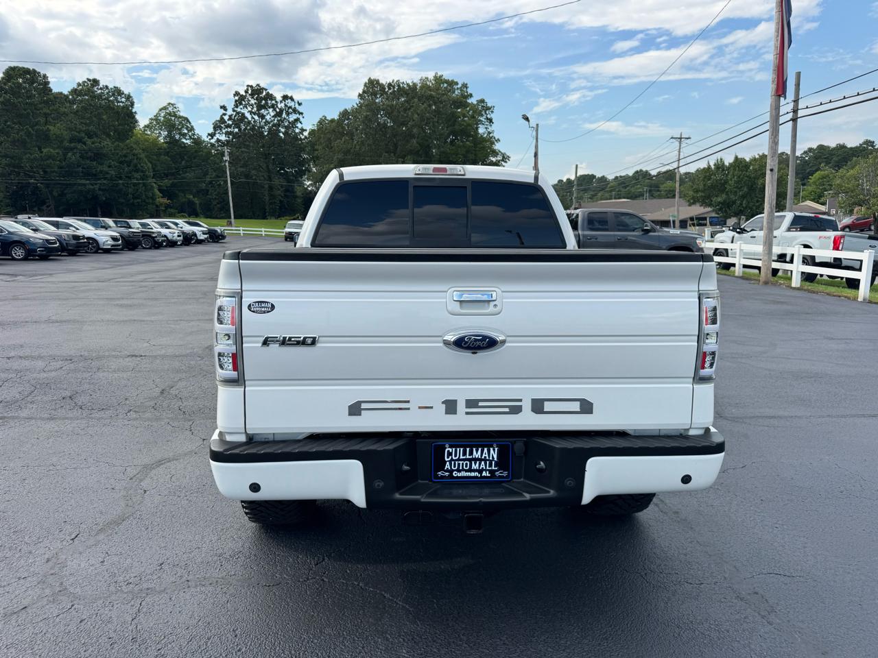 Ford F-150 4WD SuperCrew 145" Limited 2013