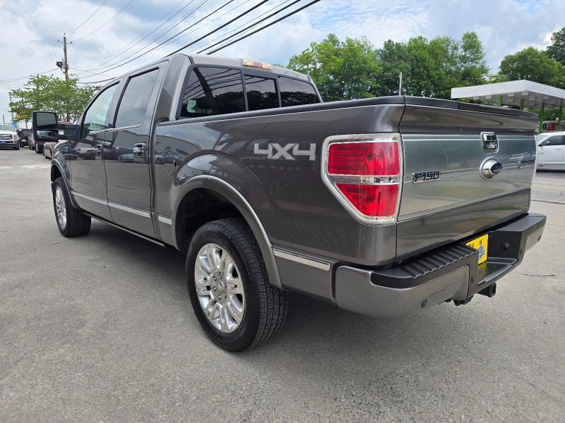 Ford F-150 XL SuperCrew 6.5-ft. Bed 4WD 2009