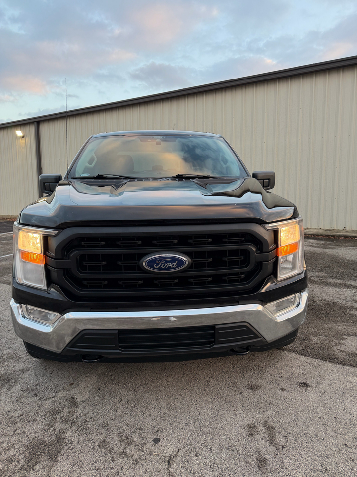 Ford F-150 XL SuperCrew 6.5-ft. Bed 4WD 2021
