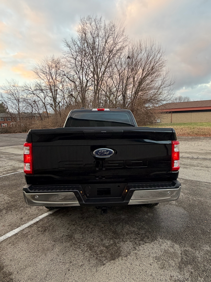 Ford F-150 XL SuperCrew 6.5-ft. Bed 4WD 2021