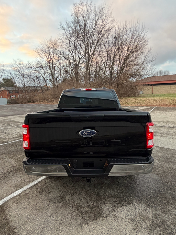 Ford F-150 XL SuperCrew 6.5-ft. Bed 4WD 2021