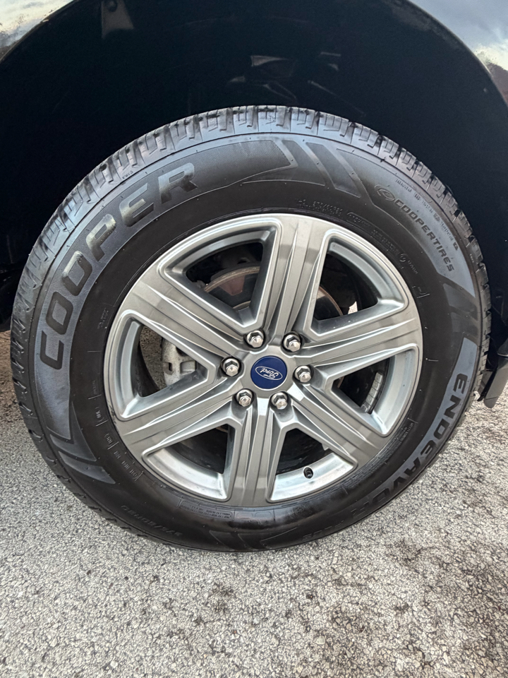 Ford F-150 XL SuperCrew 6.5-ft. Bed 4WD 2021