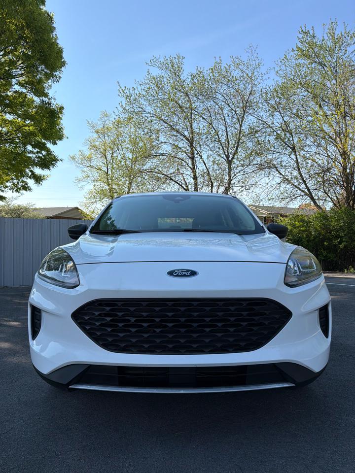 Ford Escape S AWD 2020