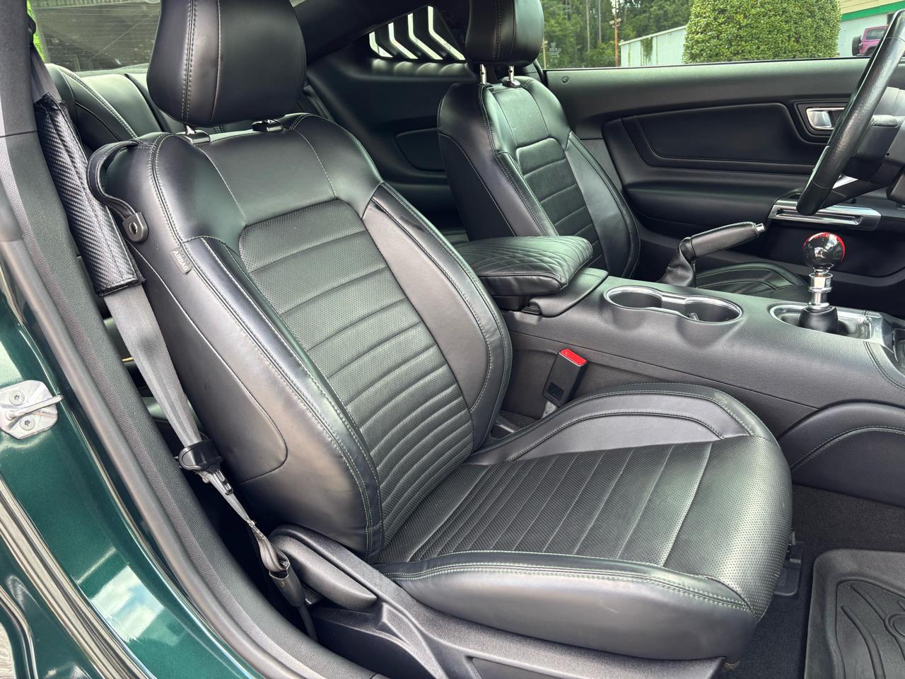 Ford Mustang Bullitt Fastback 2019