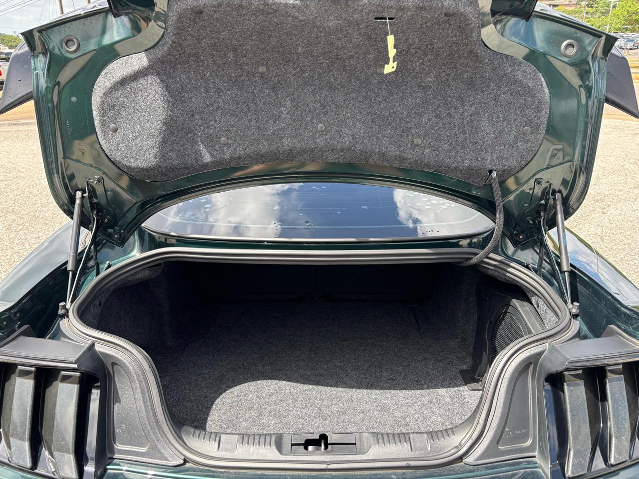 Ford Mustang Bullitt Fastback 2019