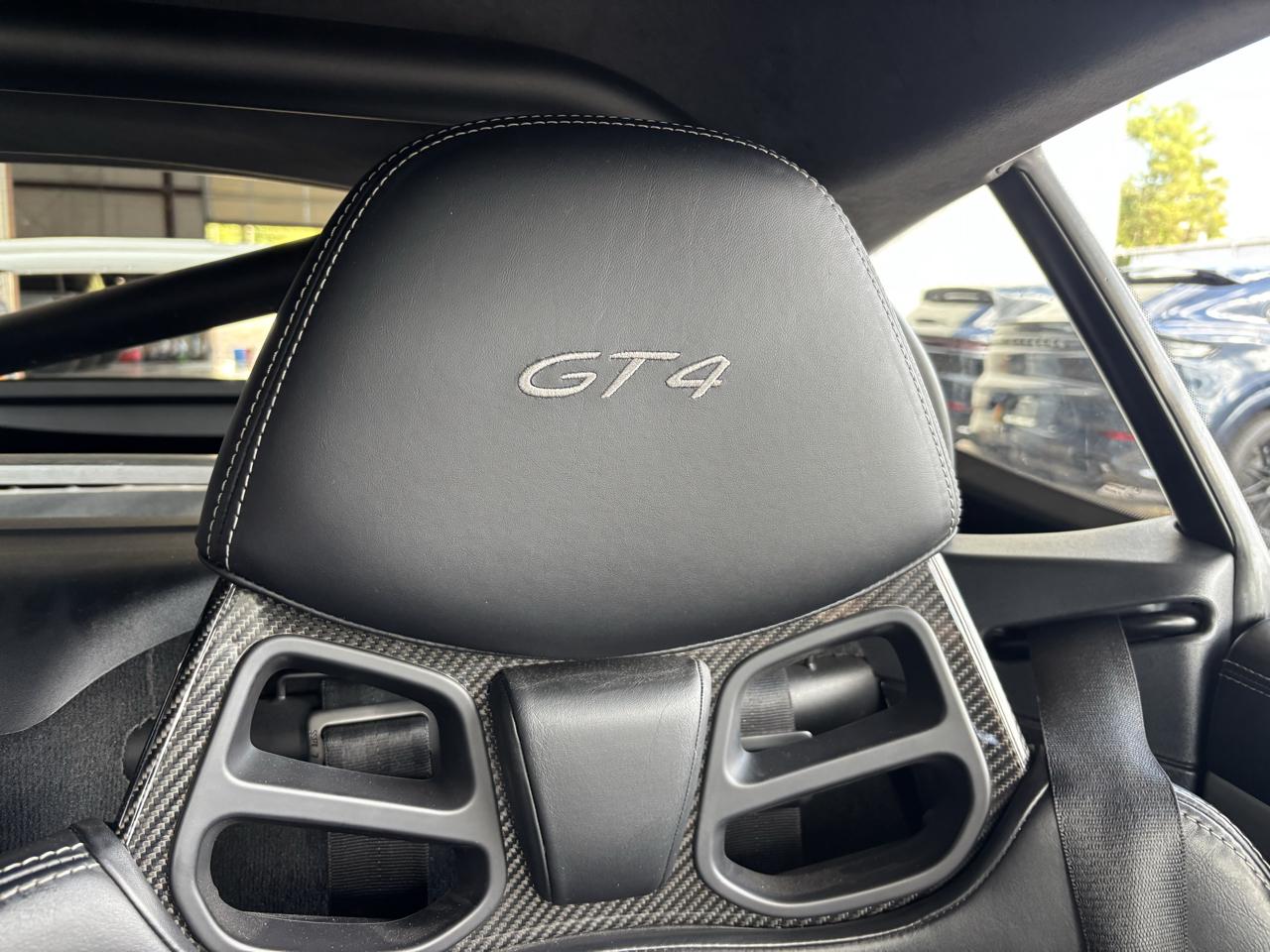 Porsche Cayman 2dr Cpe GT4 2016