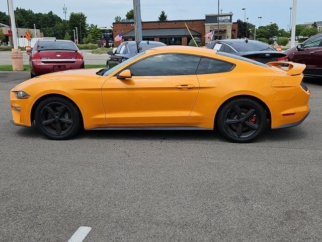 Ford Mustang  2019