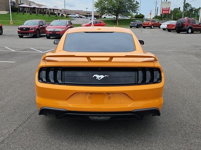 Ford Mustang  2019