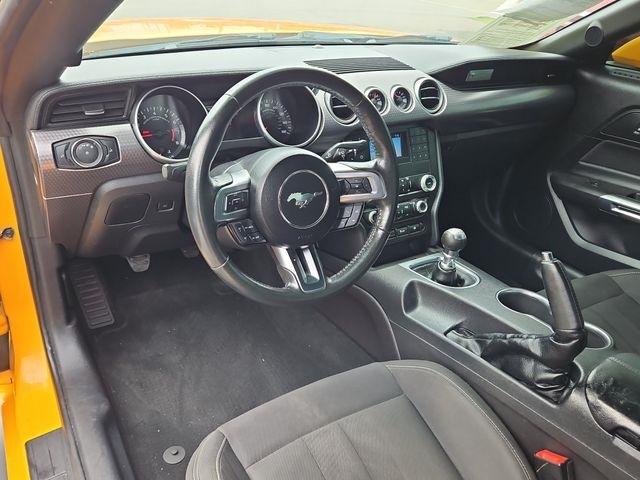 Ford Mustang  2019