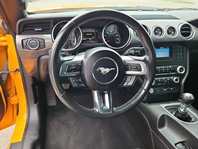Ford Mustang  2019