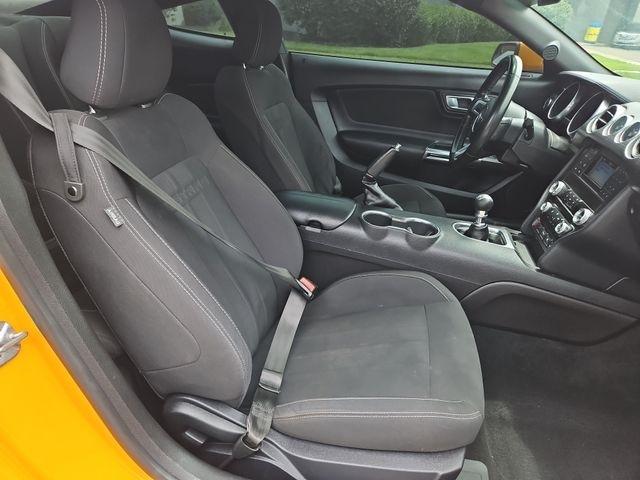 Ford Mustang  2019