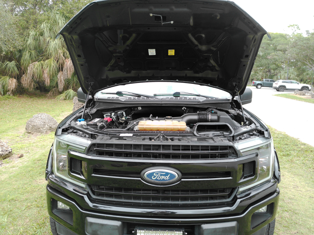 Ford F-150 4WD SuperCrew 145" FX4 2019