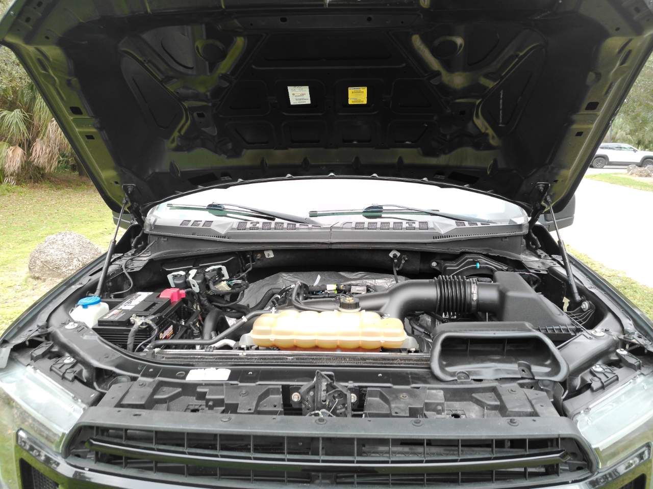 Ford F-150 4WD SuperCrew 145" FX4 2019